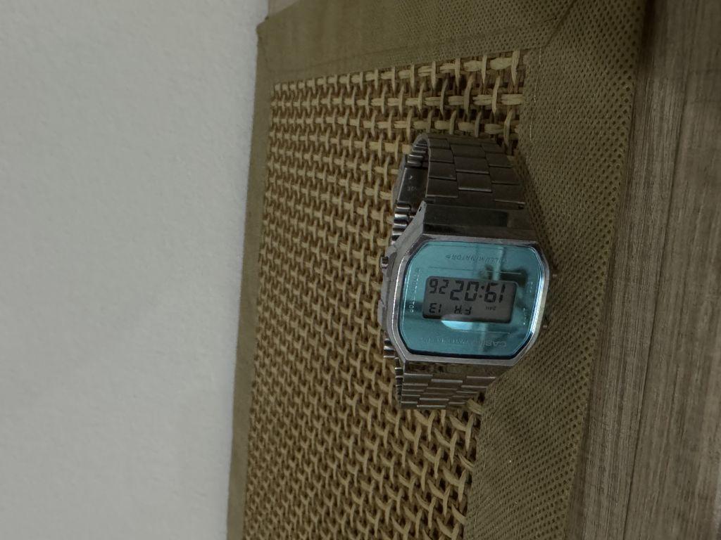 Casio sat